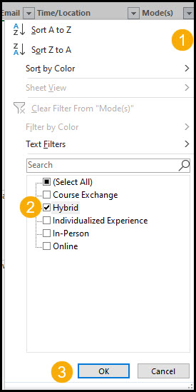 Excel report filtered by Hybrid Delivery Mode.