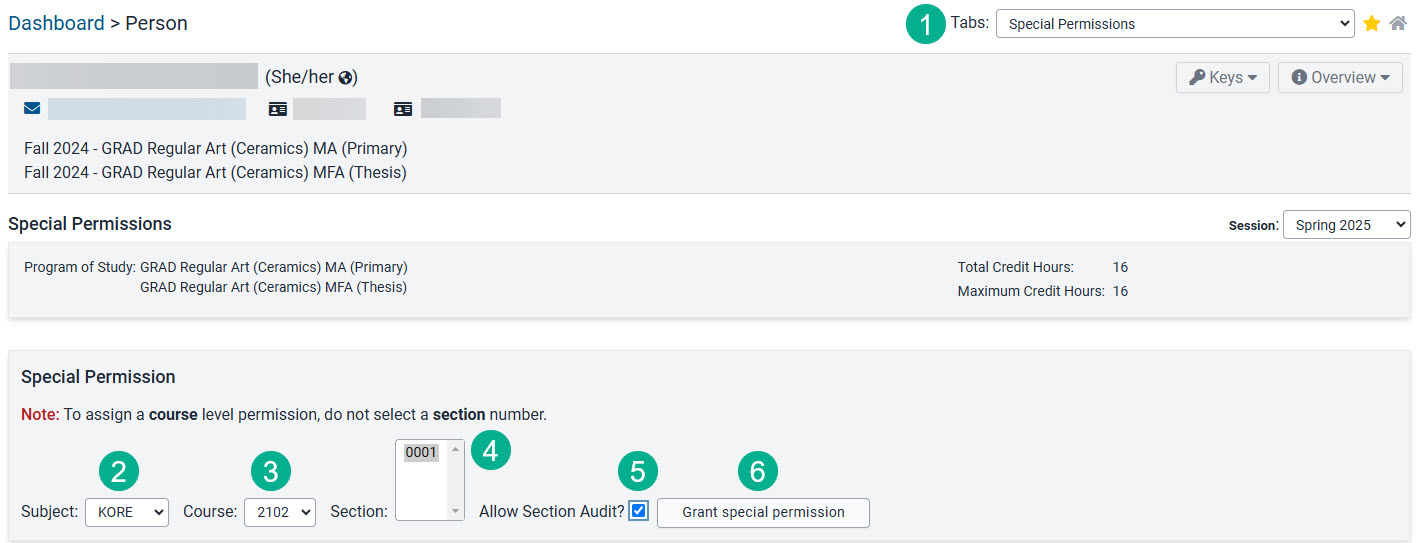 Using Special Permissions tab choose Subject, Course, Section, check Allow Audit and Grant Special Permisison.